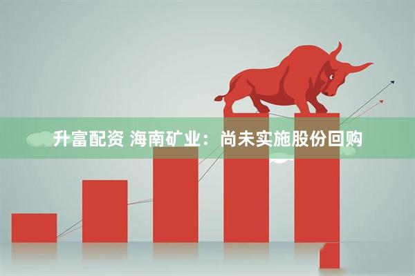 升富配资 海南矿业：尚未实施股份回购