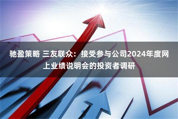 驰盈策略 三友联众：接受参与公司2024年度网上业绩说明会的投资者调研