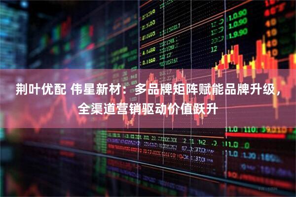 荆叶优配 伟星新材：多品牌矩阵赋能品牌升级，全渠道营销驱动价值跃升