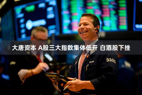 大唐资本 A股三大指数集体低开 白酒股下挫