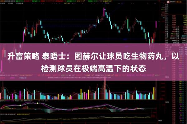 升富策略 泰晤士：图赫尔让球员吃生物药丸，以检测球员在极端高温下的状态
