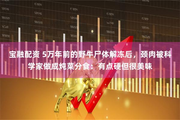 宝融配资 5万年前的野牛尸体解冻后，颈肉被科学家做成炖菜分食：有点硬但很美味