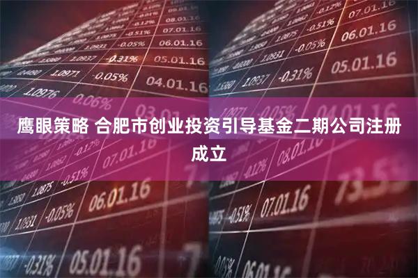 鹰眼策略 合肥市创业投资引导基金二期公司注册成立