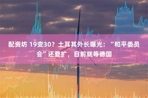 配资坊 19变30？土耳其外长曝光：“和平委员会”还要扩，目前就等德国